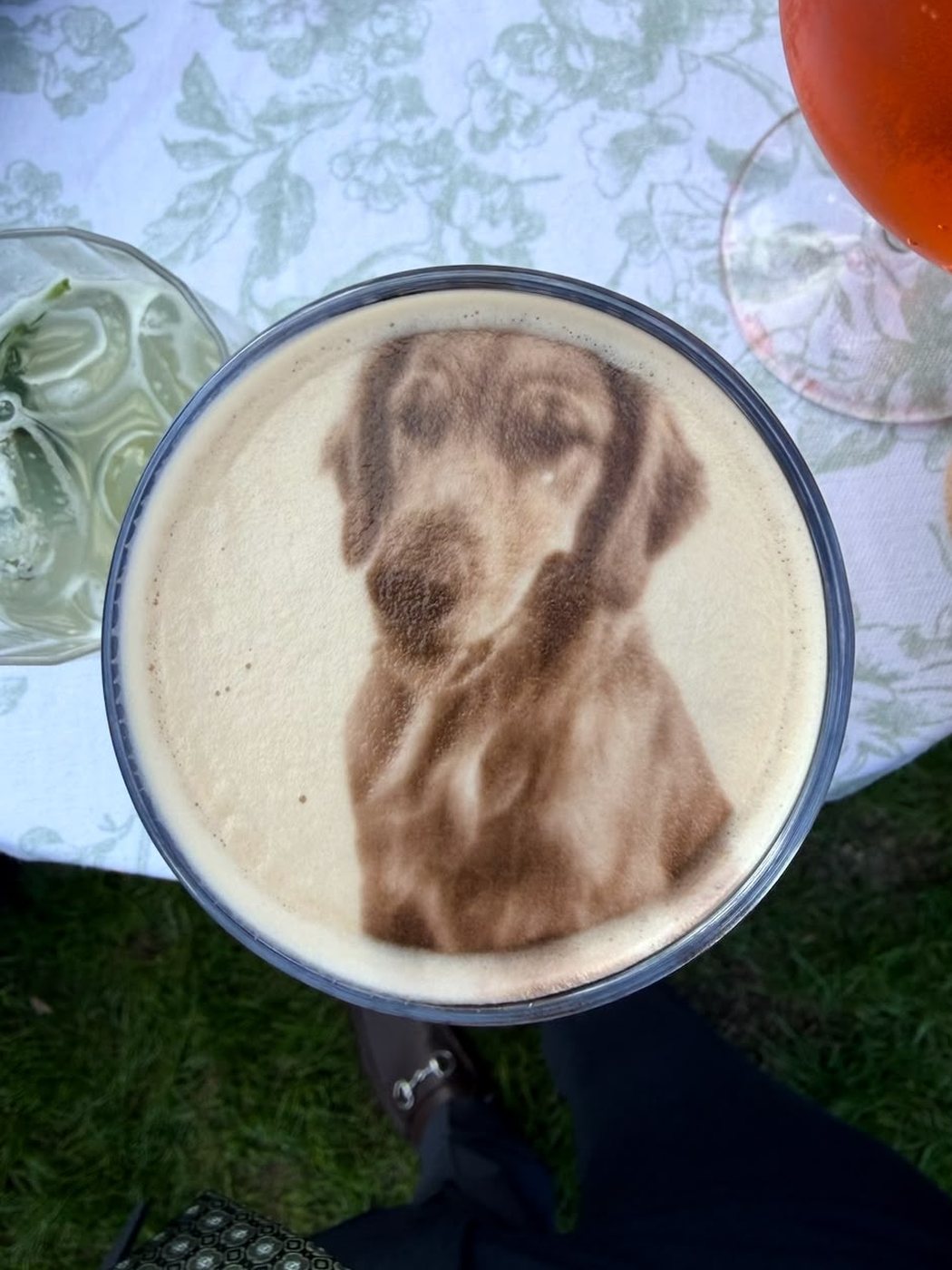 Portrait of the couple's dog printed in edible ink on the foam of a pint of Guinness at a wedding